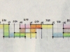 Dryads Timeline