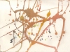 Synesthesic Score for Max, Amplified Guitar III
