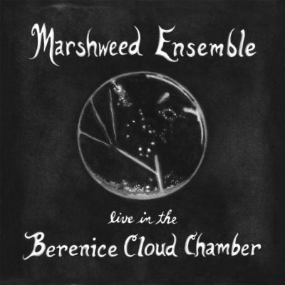 Cover for Marshweed Ensemble LP (Feb 2022)